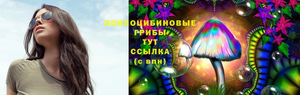 твердый Алексеевка