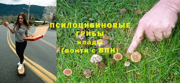 наркотики Алексин