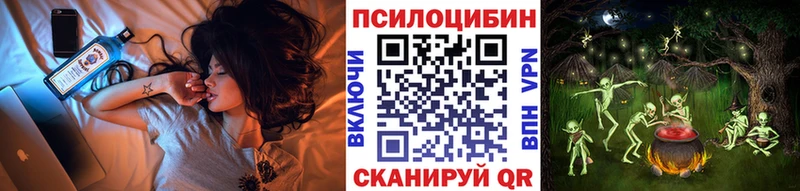 Псилоцибиновые грибы Psilocybe  сколько стоит  Сухой Лог 