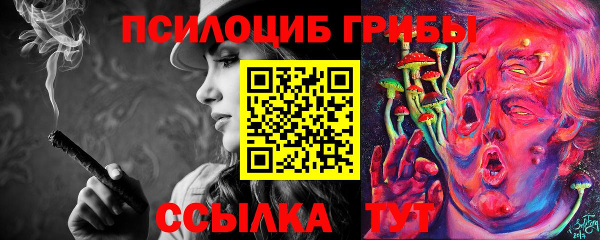 Псилоцибиновые грибы Psilocybe  Вход с VPN  Сухой Лог 