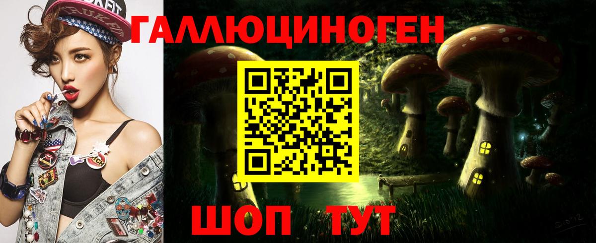 Псилоцибиновые грибы Psilocybe Сухой Лог